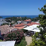 Vista
