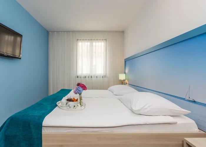 호텔 Vista 브르사르