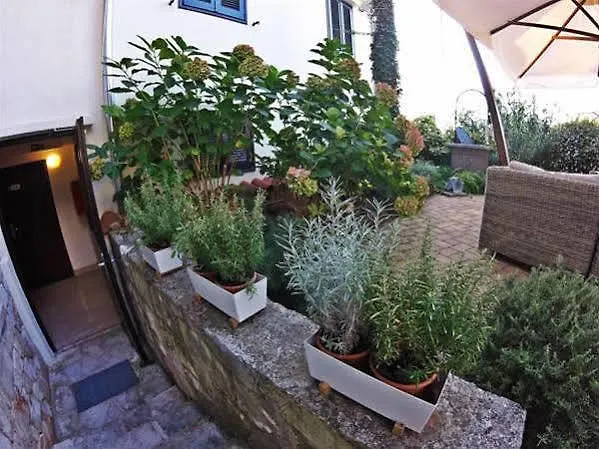 호텔 Vista 브르사르